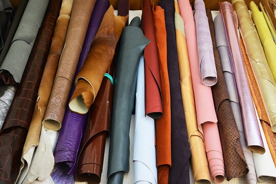 Tour image 12